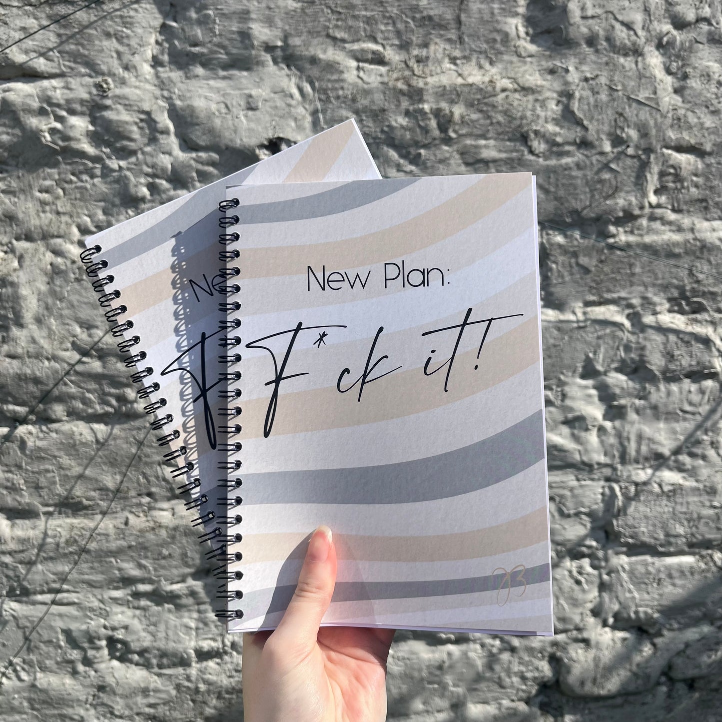 New Plan: F*ck it! Notebook